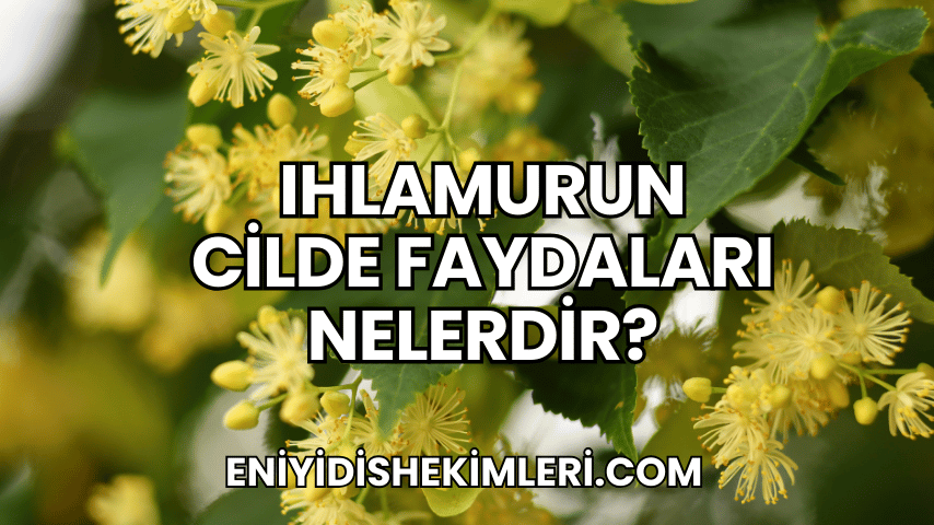 Ihlamurun Cilde Faydaları Nelerdir?