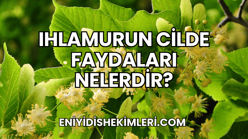 Ihlamurun Cilde Faydaları Nelerdir?