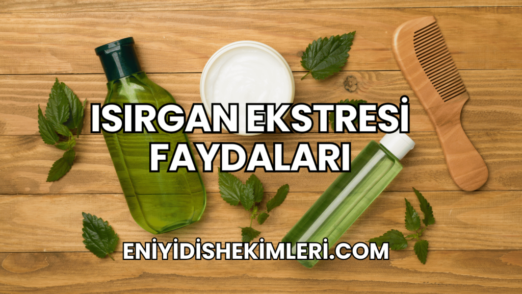 Isırgan Ekstresi Faydaları