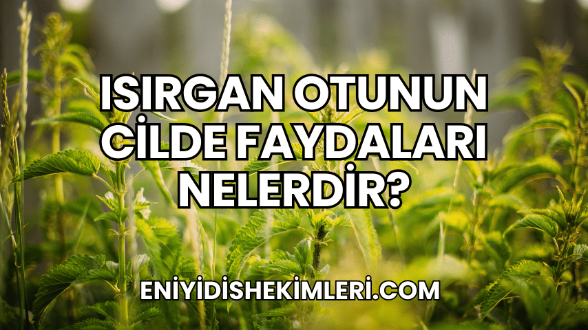 Isırgan Otunun Cilde Faydaları Nelerdir?