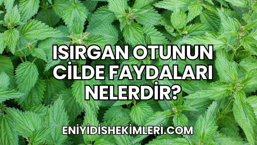 Isırgan Otunun Cilde Faydaları Nelerdir?