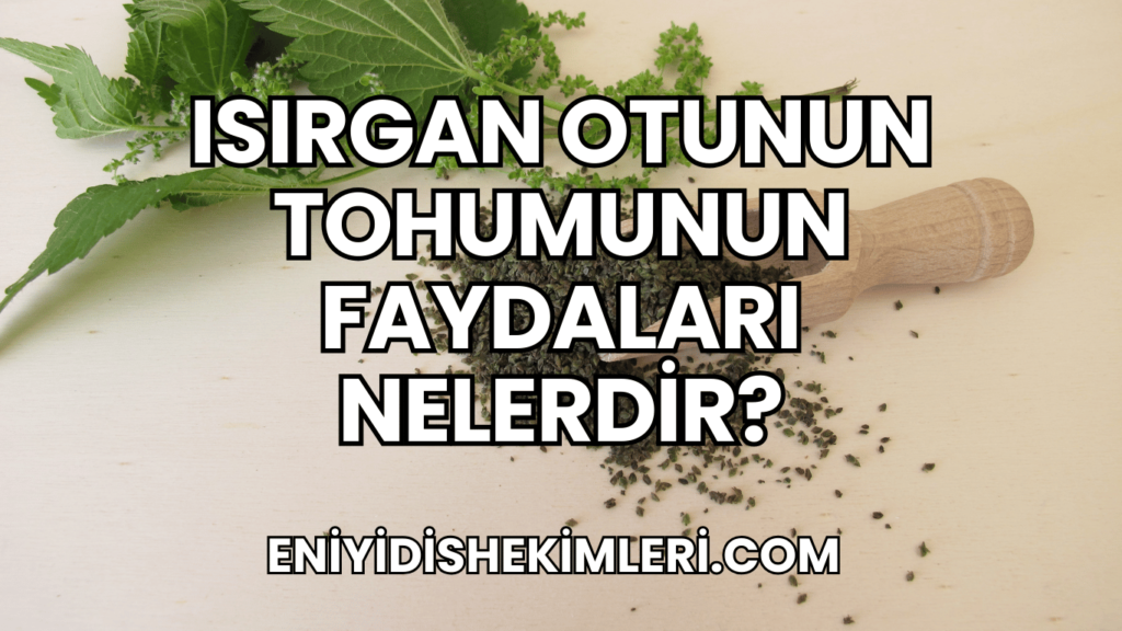 Isırgan Otunun Tohumunun Faydaları Nelerdir?