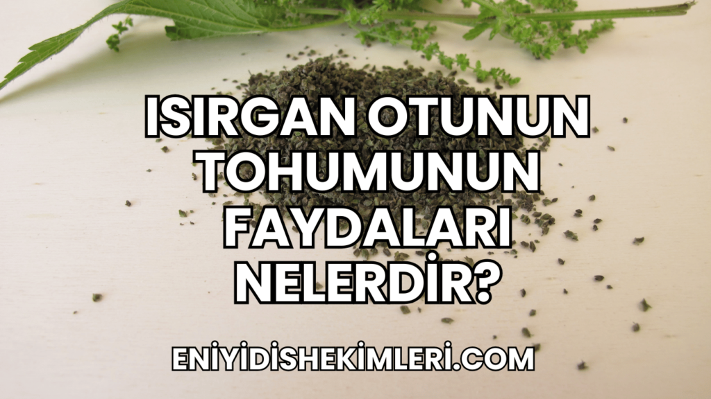 Isırgan Otunun Tohumunun Faydaları Nelerdir?