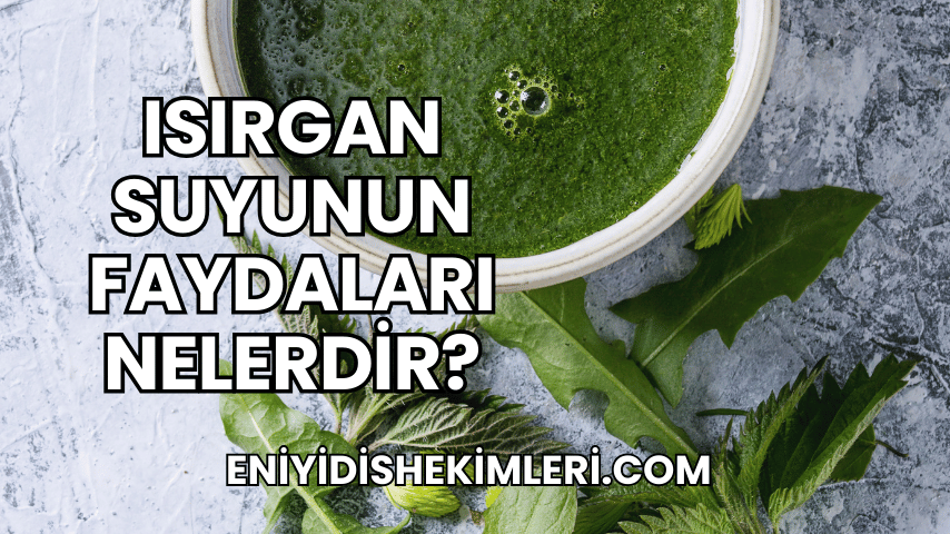 Isırgan Suyunun Faydaları Nelerdir?