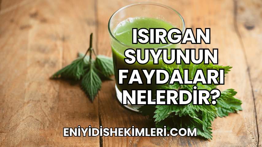 Isırgan Suyunun Faydaları Nelerdir?