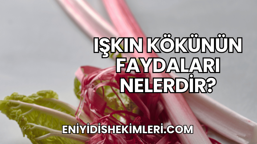 Işkın Kökünün Faydaları Nelerdir?