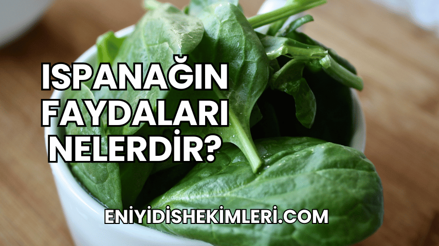 Ispanağın Faydaları Nelerdir?