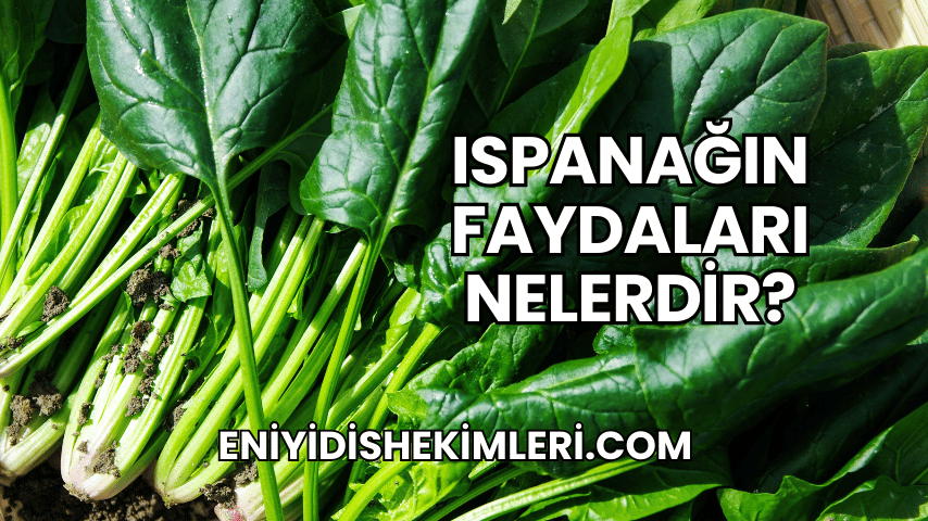 Ispanağın Faydaları Nelerdir?