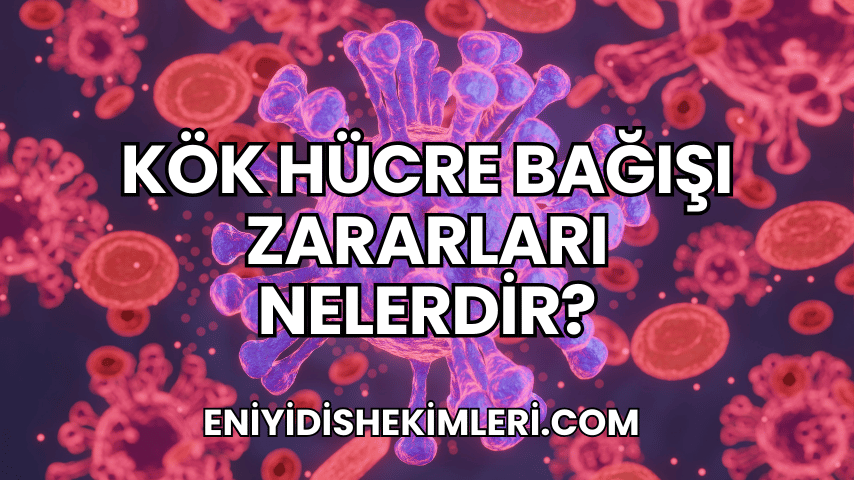 Kök Hücre Bağışı Zararları Nelerdir?