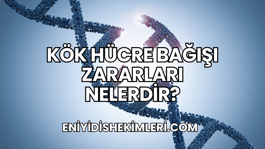 Kök Hücre Bağışı Zararları Nelerdir?