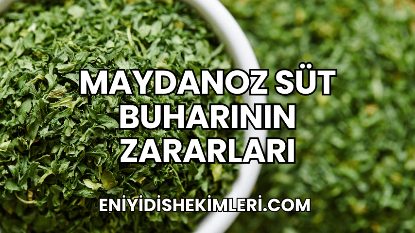 Maydanoz Süt Buharının Zararları