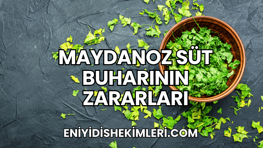 Maydanoz Süt Buharının Zararları