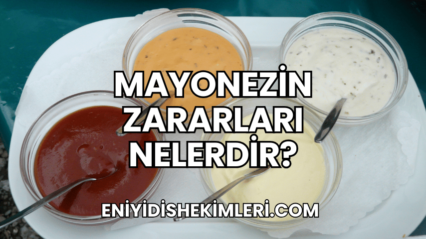 Mayonezin Zararları Nelerdir?