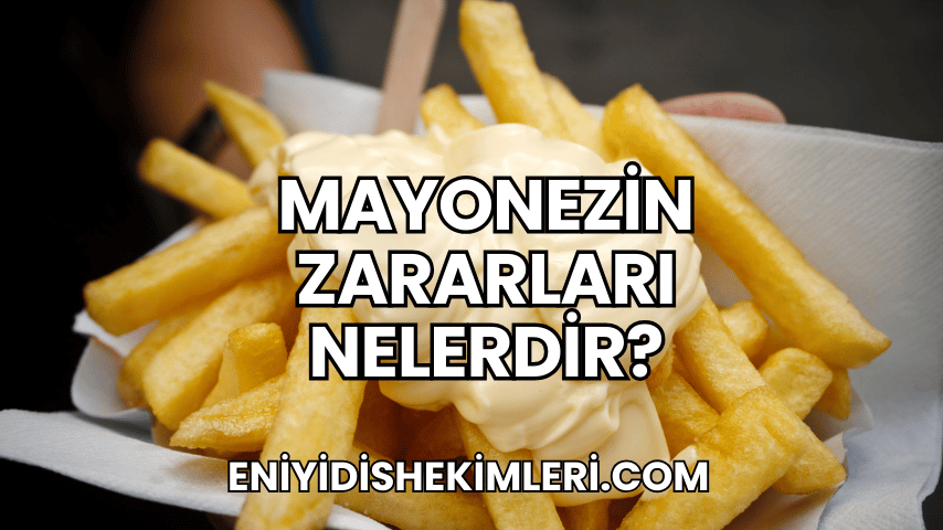 Mayonezin Zararları Nelerdir?