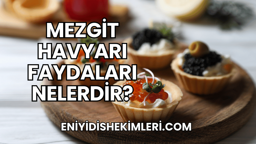 Mezgit Havyarı Faydaları Nelerdir?