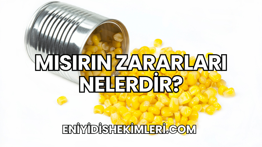 Mısırın Zararları Nelerdir?