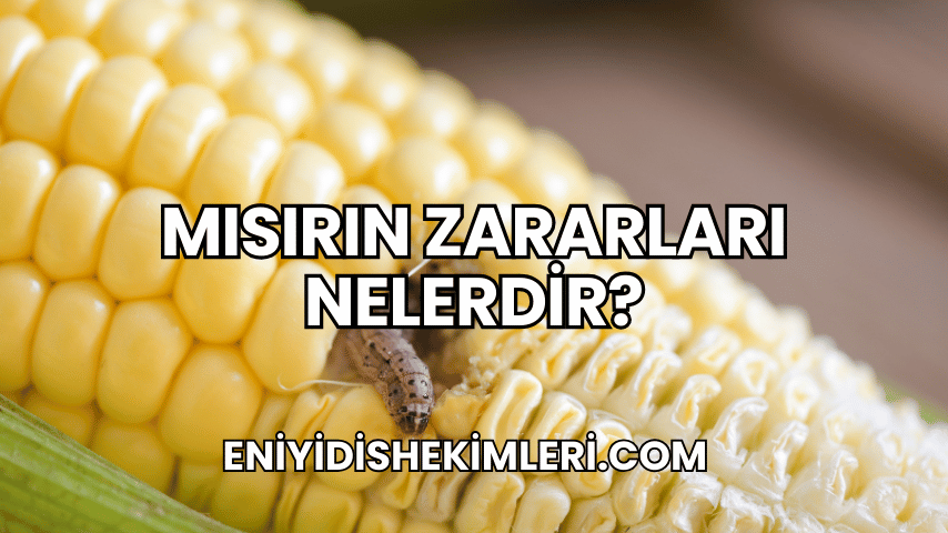 Mısırın Zararları Nelerdir?