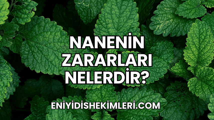 Nanenin Zararları Nelerdir?