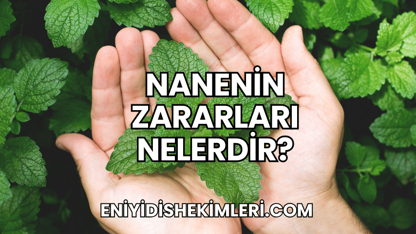 Nanenin Zararları Nelerdir?