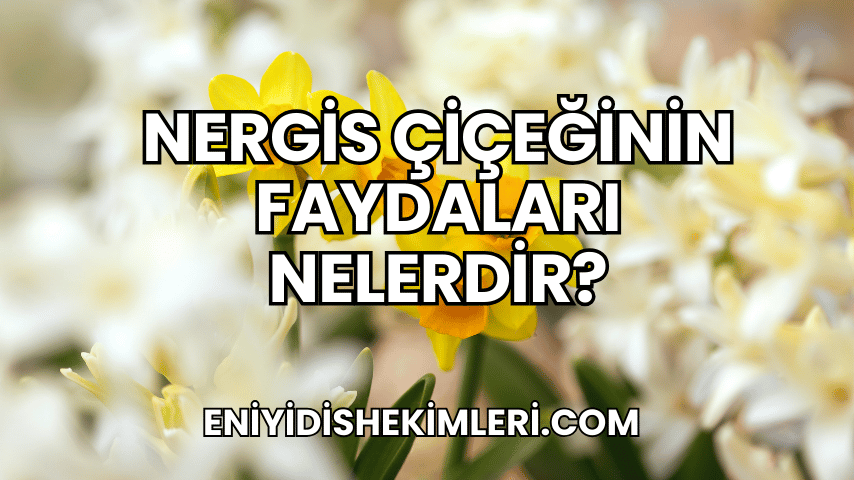 Nergis Çiçeğinin Faydaları Nelerdir?