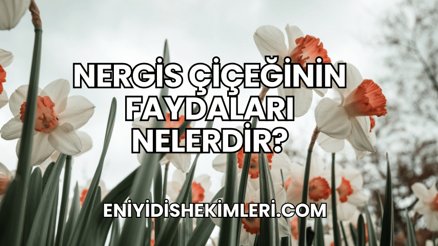 Nergis Çiçeğinin Faydaları Nelerdir?