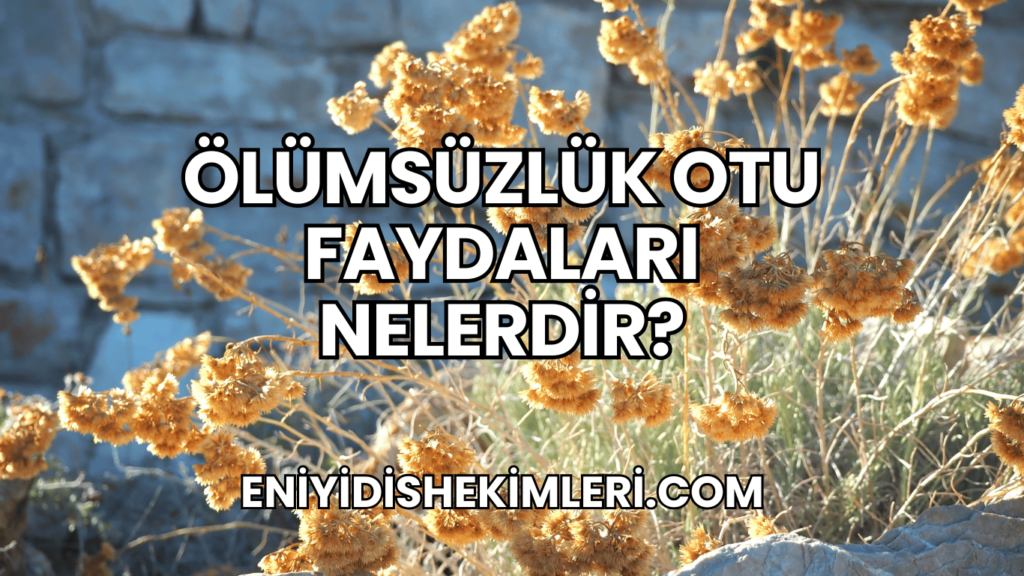 Ölümsüzlük Otu Faydaları Nelerdir?