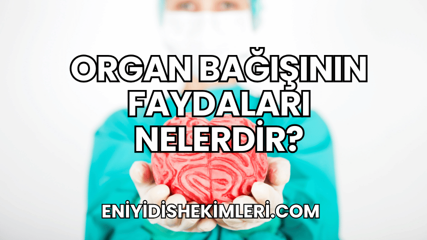 Organ Bağışının Faydaları Nelerdir?