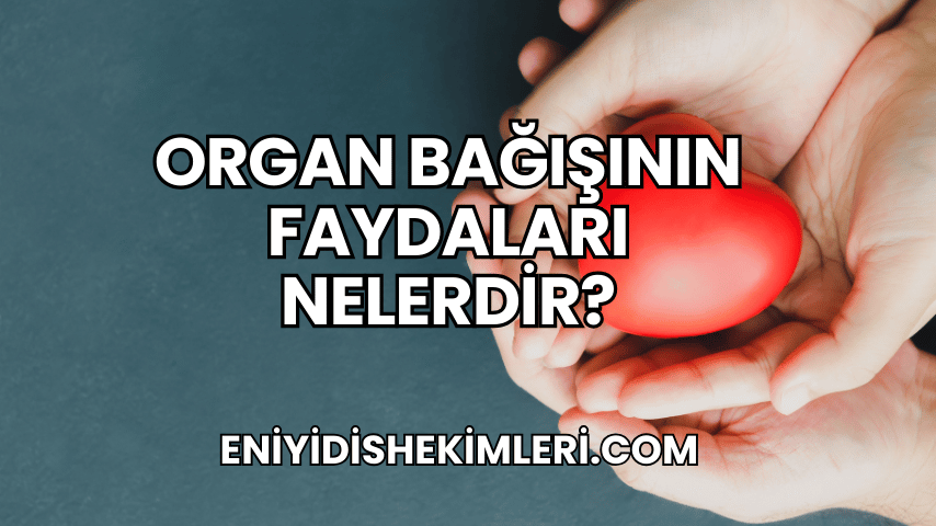 Organ Bağışının Faydaları Nelerdir?