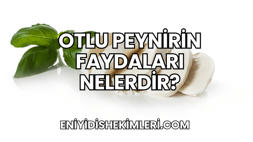 Otlu Peynirin Faydaları Nelerdir?