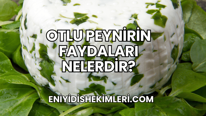 Otlu Peynirin Faydaları Nelerdir?