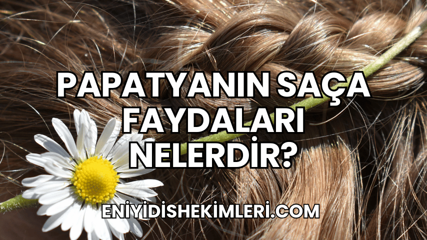 Papatyanın Saça Faydaları Nelerdir?