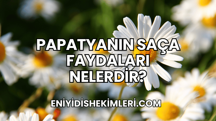 Papatyanın Faydaları Nelerdir?