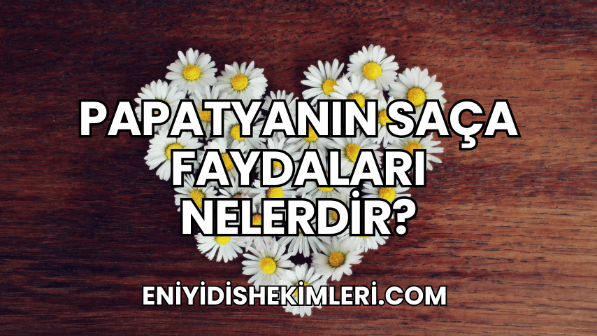 Papatyanın Faydaları Nelerdir?