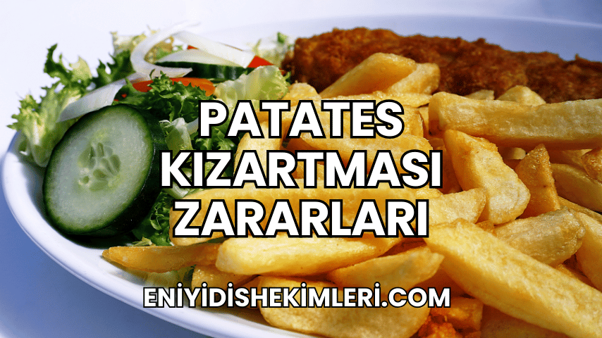 Patates Kızartması Zararları