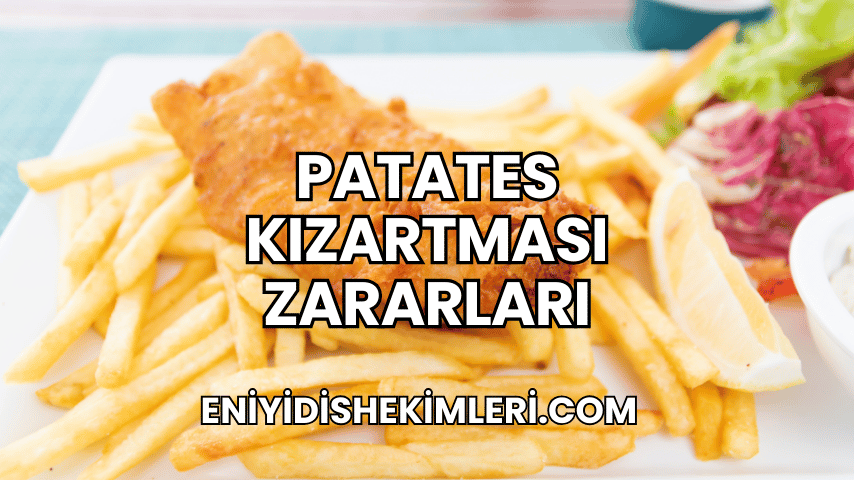 Patates Kızartması Zararları