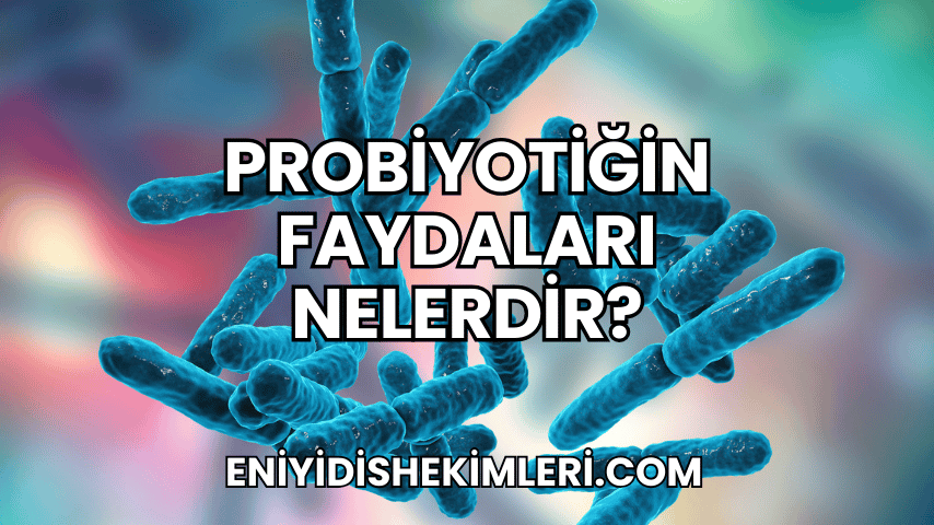 Probiyotiğin Faydaları Nelerdir?