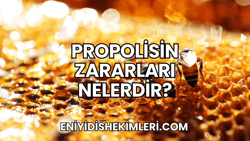 Propolisin Zararları Nelerdir?