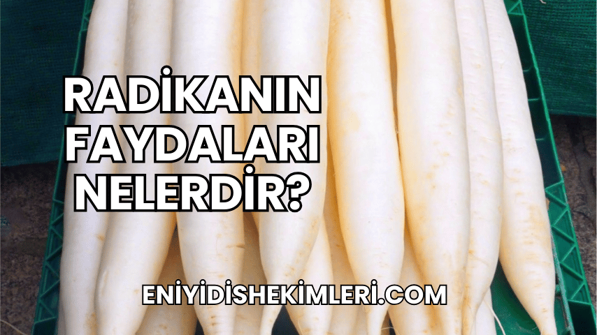 Radikanın Faydaları Nelerdir?