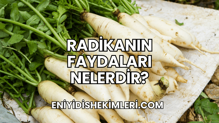 Radikanın Faydaları Nelerdir?