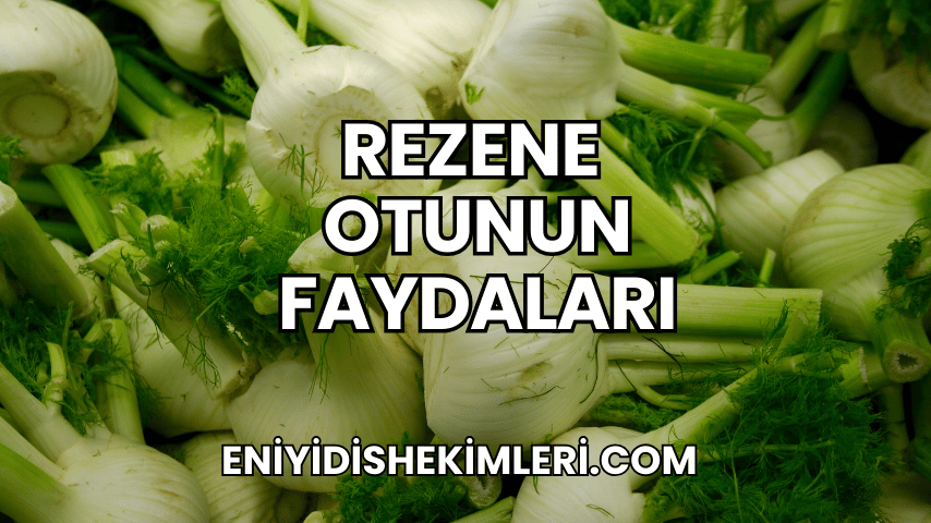 Rezene Otunun Faydaları