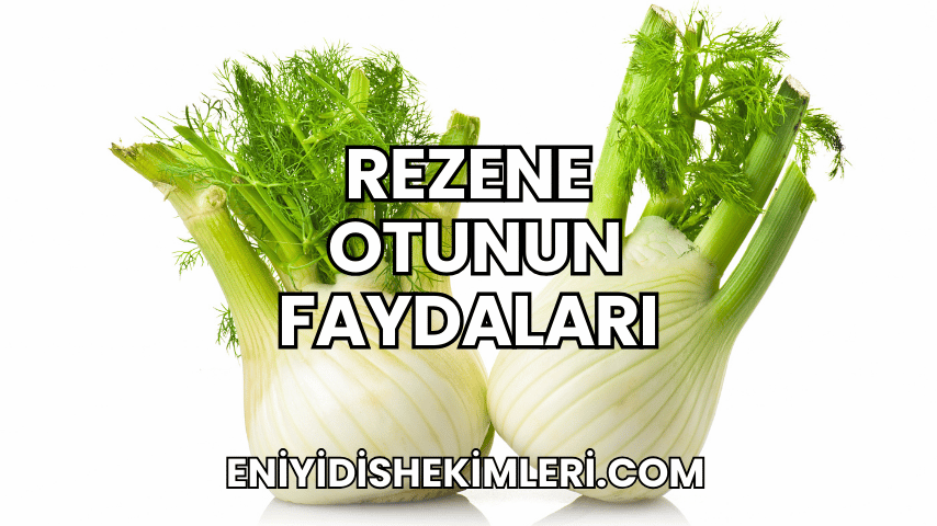 Rezene Otunun Faydaları