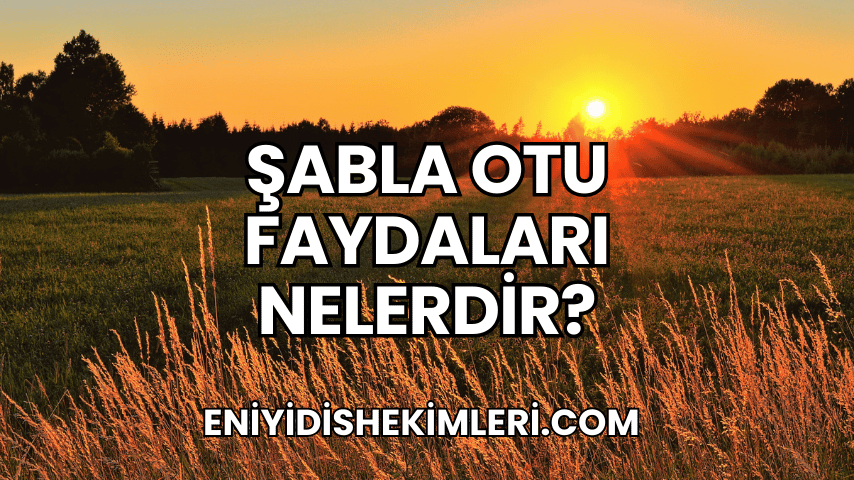 Şabla Otu Faydaları Nelerdir?