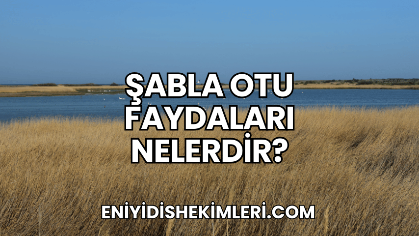 Şabla Otu Faydaları Nelerdir?