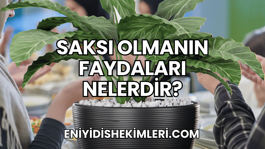 Saksı Olmanın Faydaları Nelerdir?