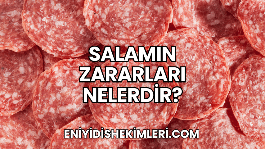 Salamın Zararları Nelerdir?