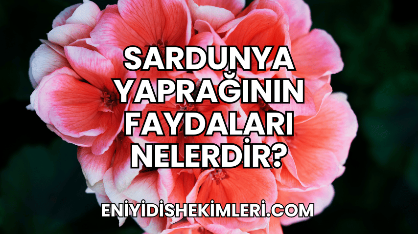 Sardunya Yaprağının Faydaları Nelerdir?