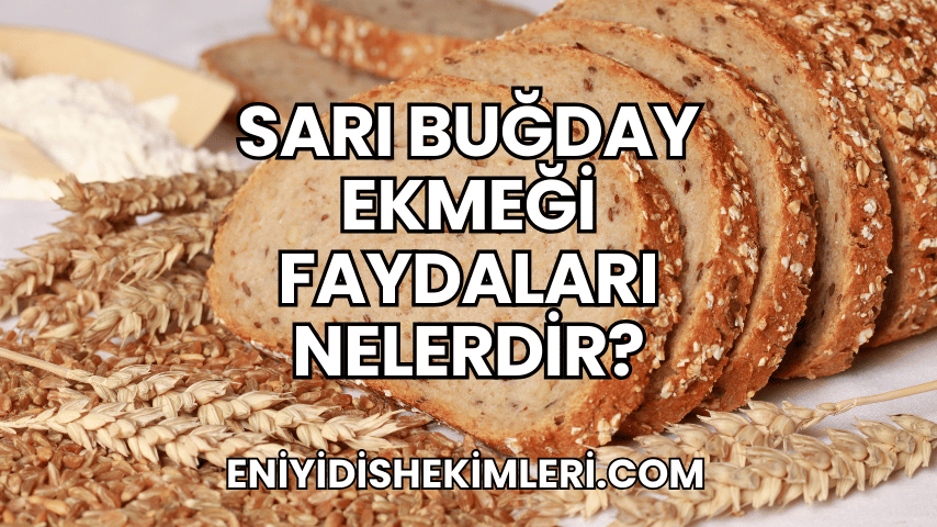 Sarı Buğday Ekmeği Faydaları Nelerdir?