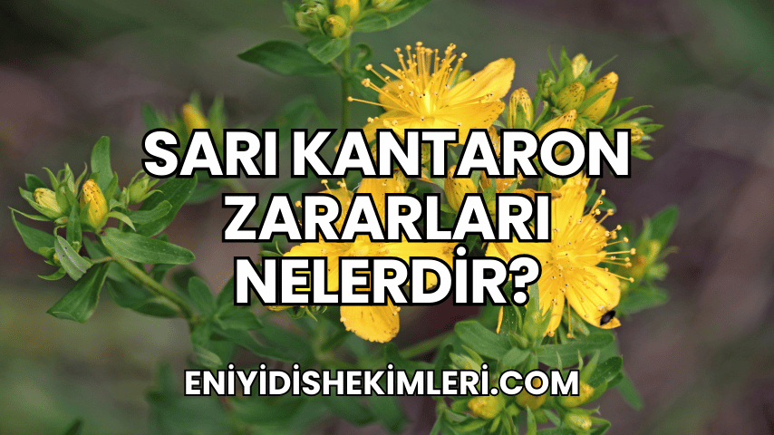 Sarı Kantaron Zararları Nelerdir?