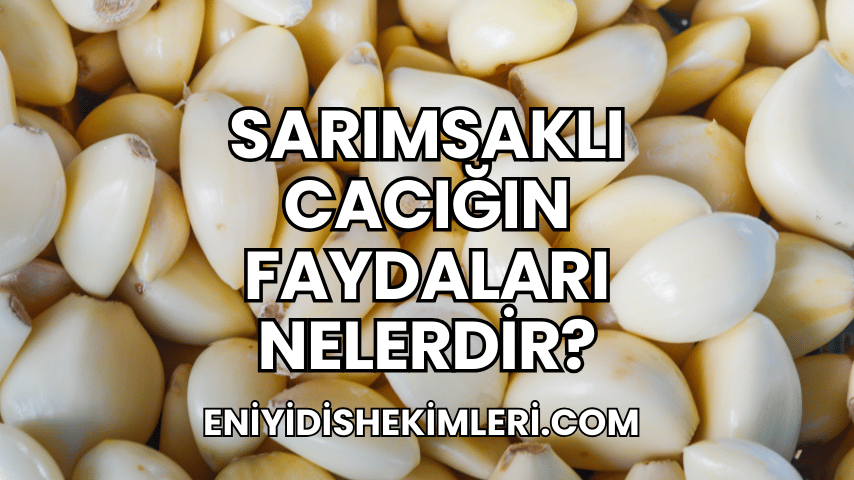 Sarımsaklı Cacığın Faydaları Nelerdir?