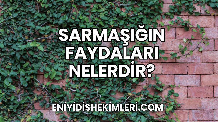 Sarmaşığın Faydaları Nelerdir?